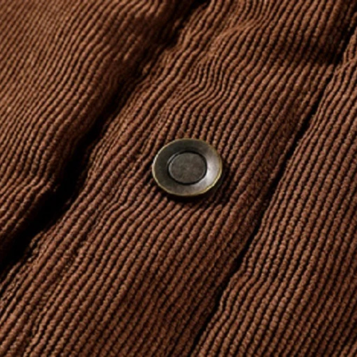 The Verbania - Veste à carreaux en flanelle doublée polaire pour homme