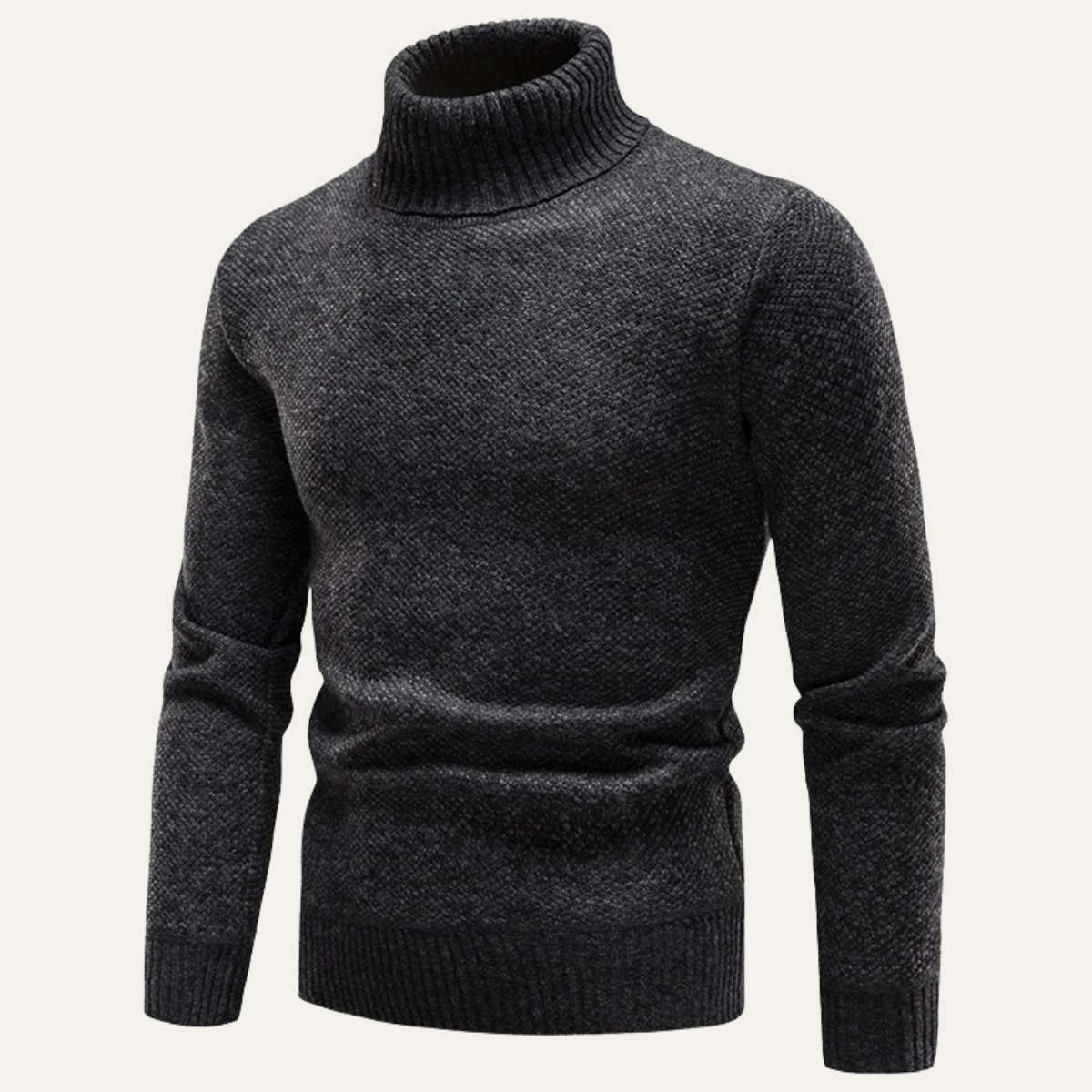 The Alessandria – Pull Col Roulé en Tricot Mélangé Homme