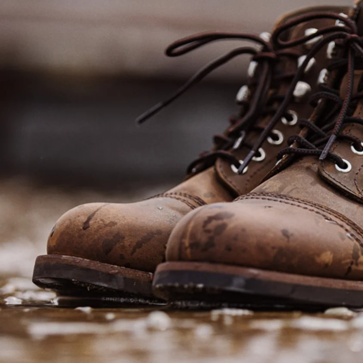 The Grayfield - Bottes en Cuir à Lacets pour Hommes