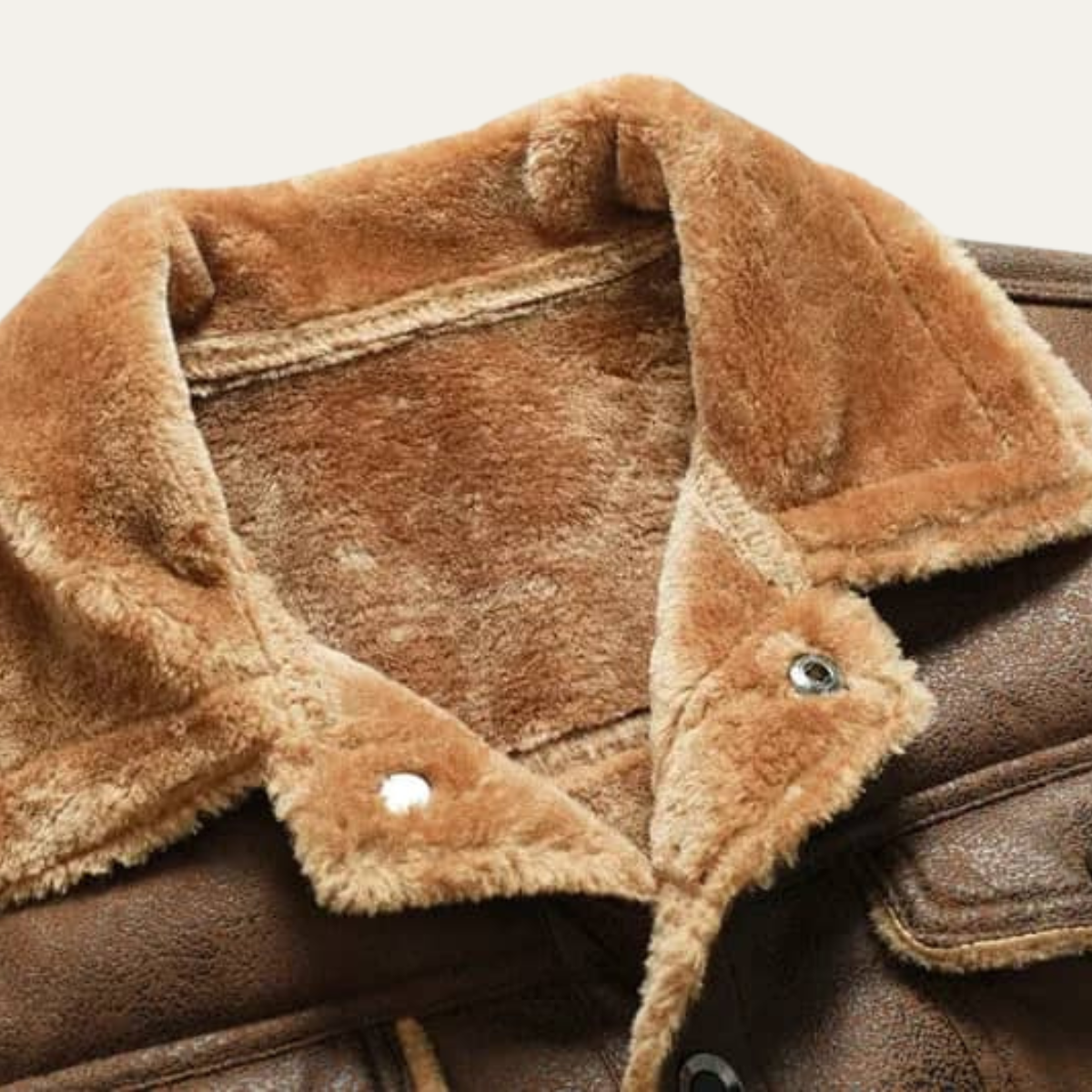 The Breuil - Veste en Cuir Biker en Laine de Mouton pour Homme